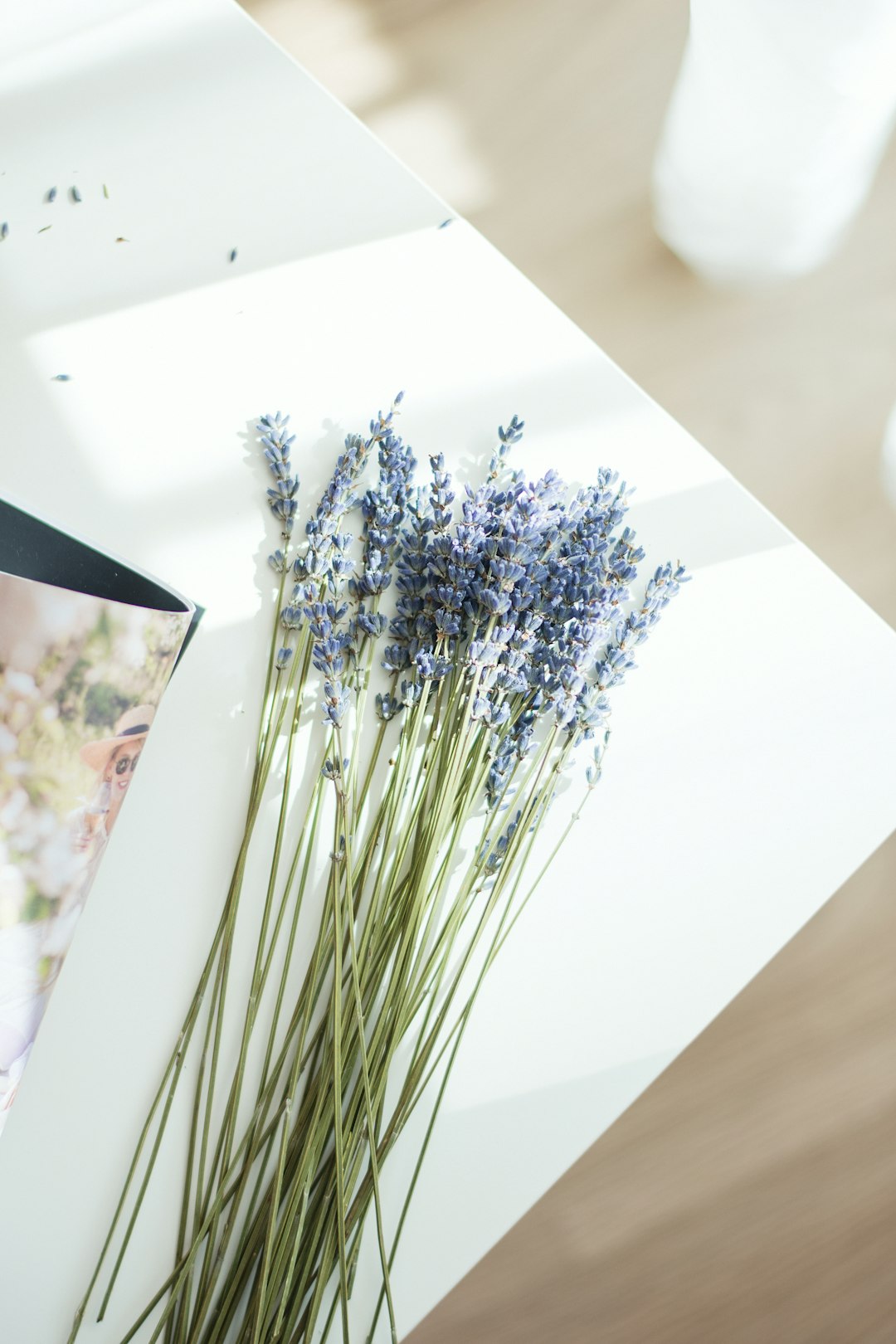 lavender-flower-yaa1rbd0spu